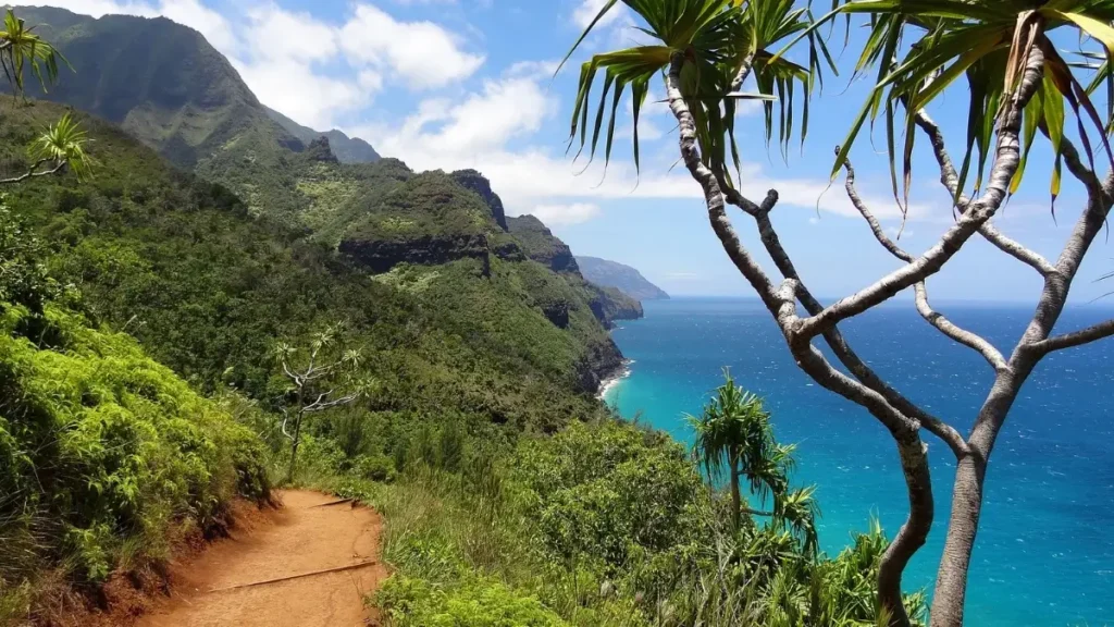 Tropical landscapes of the Kauai Marathon in Koloa, with sweeping ocean views and rugged mountain backdrops.