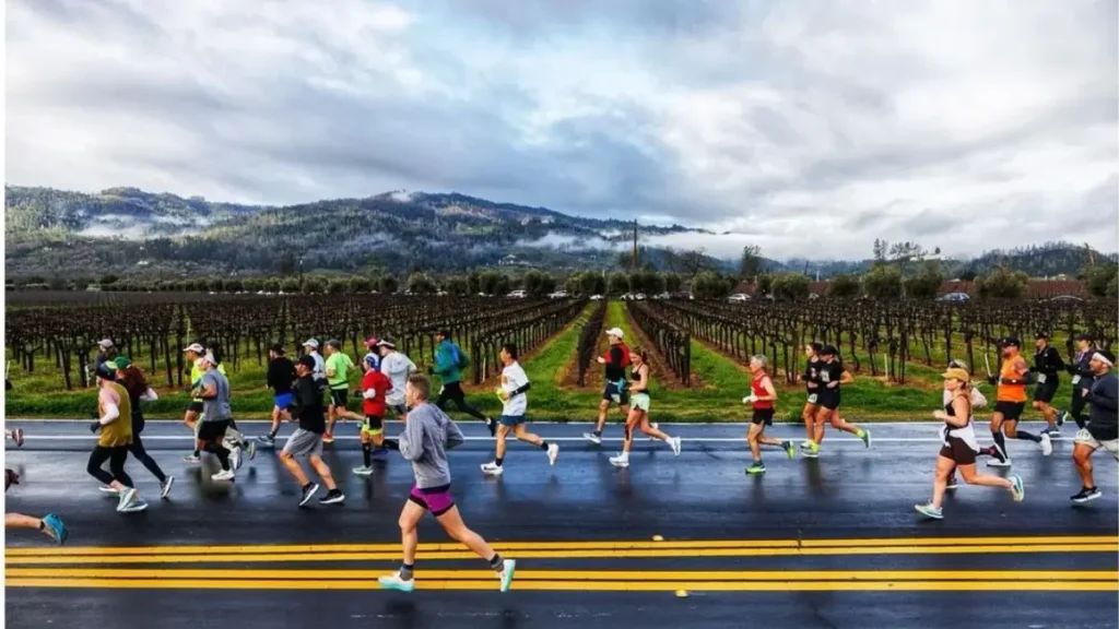 Runners follow the road past sprawling vineyards with mountains in the background at the Napa Valley Marathon in Calistoga.