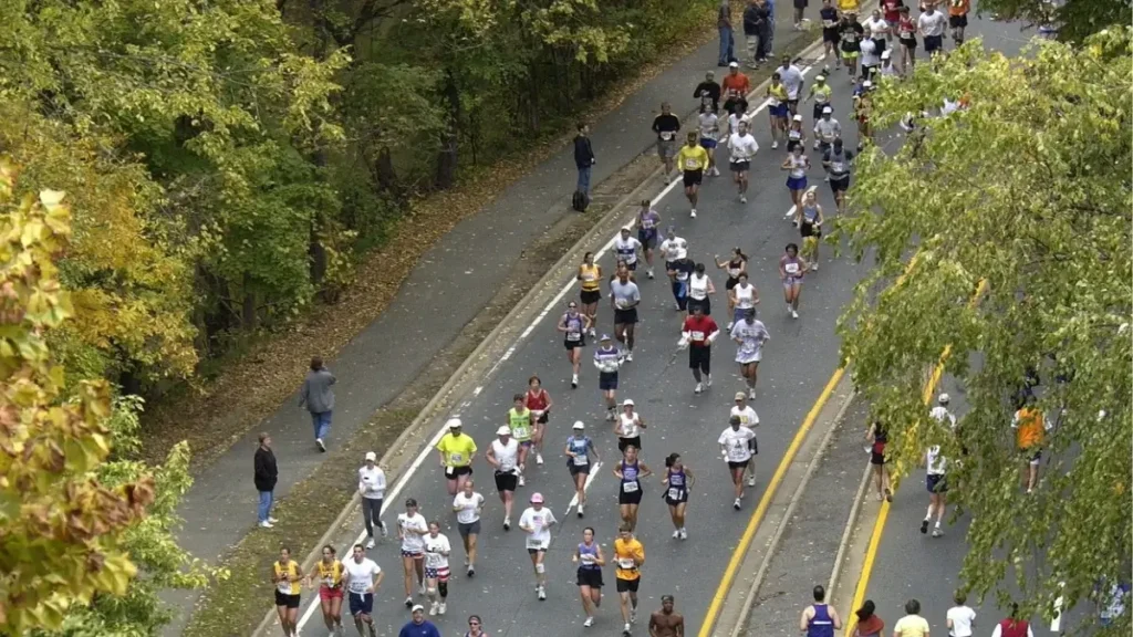 Runners navigate the scenic, tree-lined course of the Silver Comet Marathon in Georgia.