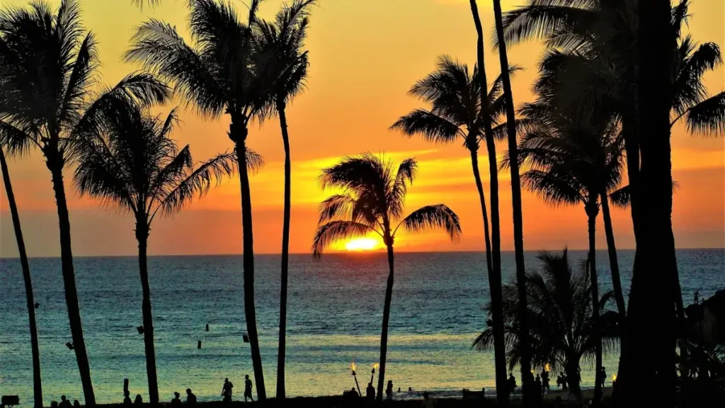 Runners soak in the tropical beauty and ocean breezes during Hawaii’s best marathons, set against stunning island backdrops.