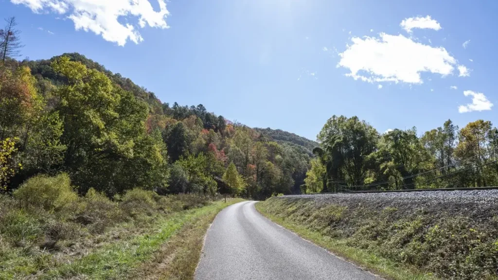 Scenic trail surrounded by trees in Grand Rivers, Kentucky, showcasing the route of the Land Between the Lakes Trail Runs.