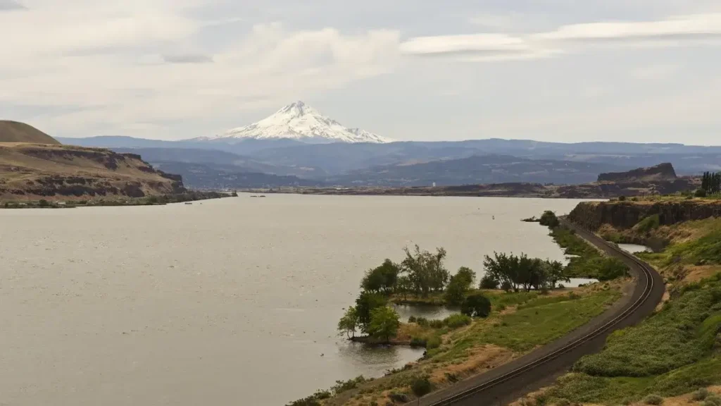 Snow-capped Mount Hood in the distance behind the wide Columbia River, with railroad tracks curving along the green riverside.